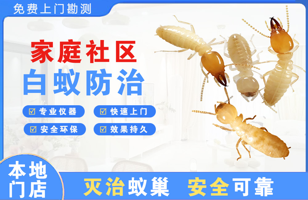 樟树家庭社区白蚁防治