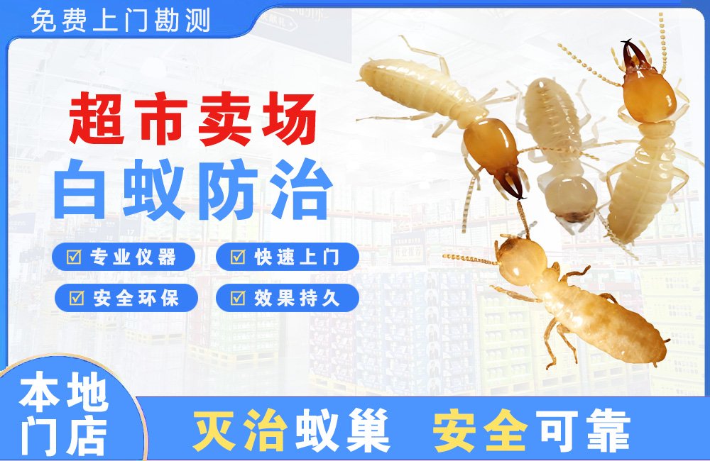 樟树超市卖场白蚁防治
