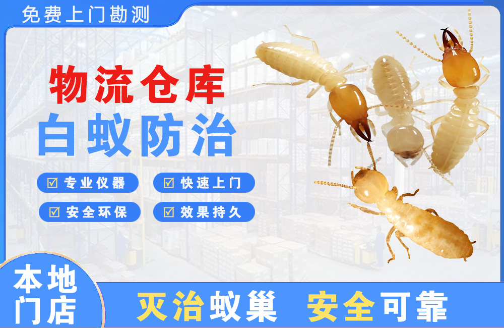 樟树物流仓库白蚁防治