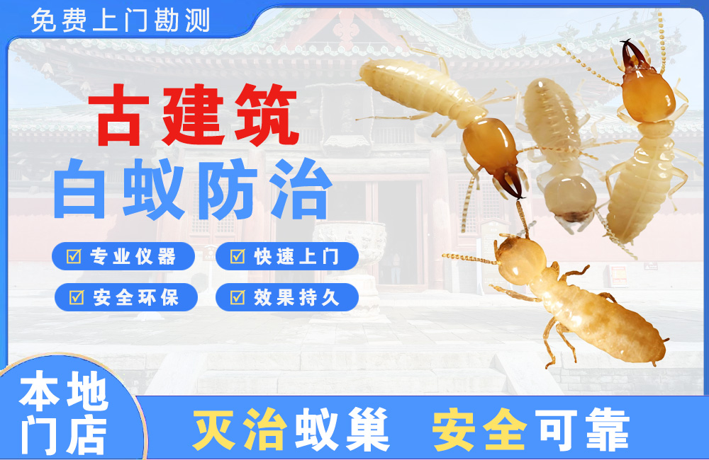 樟树古建筑白蚁防治