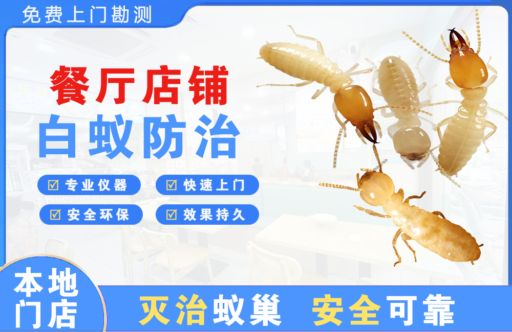 樟树餐厅店铺白蚁防治